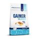 All Nutrition	Gainer Delicious	1 kg 4046 фото 1