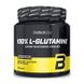 BioTech	100% L-Glutamine 500 g 3124 фото 1